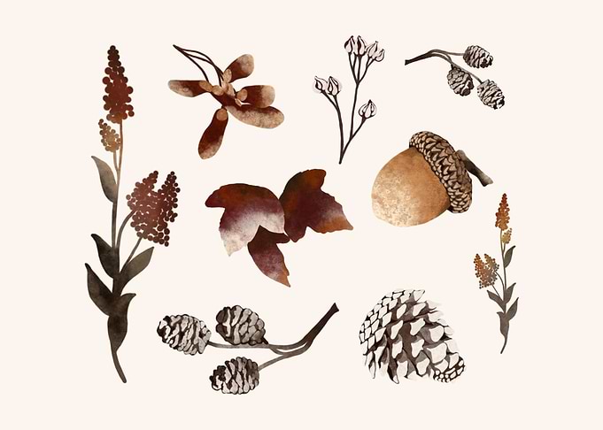 Autumn Treasures