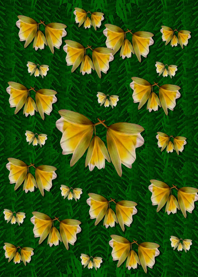 free frangipani in plumeri