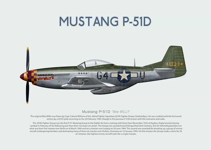 Mustang D Wee Willy