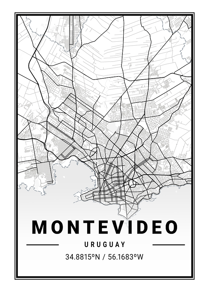 Montevideo Light City Map