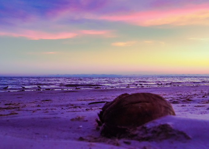 Sunset at the Beach
