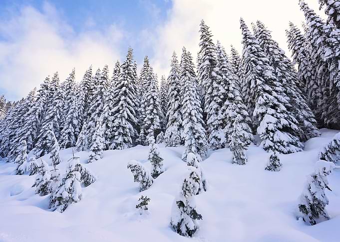 winter in the mountains