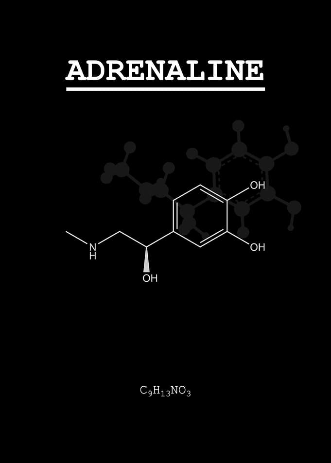 Adrenaline