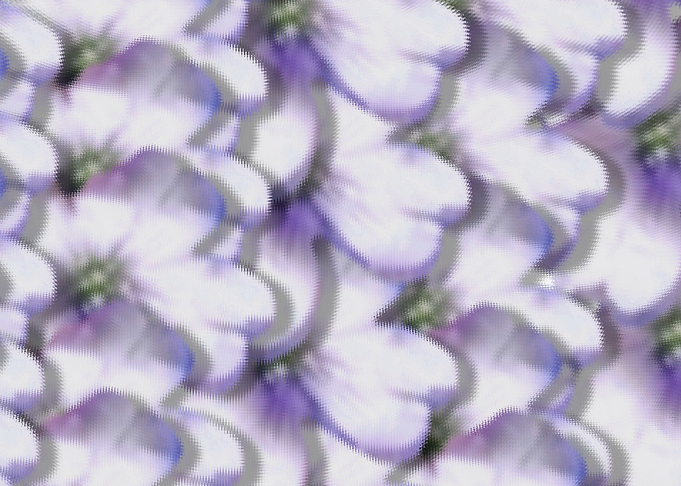 flow of flowers