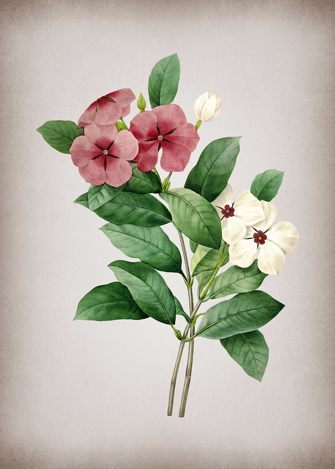Vintage Periwinkle