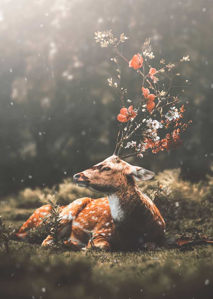 BLOOMING NATURE