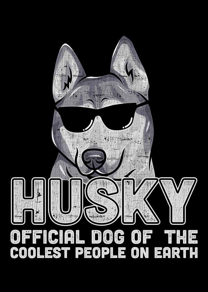 Dogs Husky Pet Animal