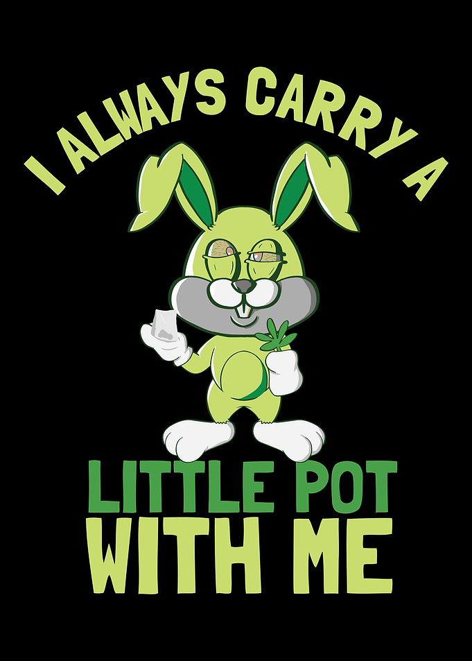 Bunny Rabbit Cony