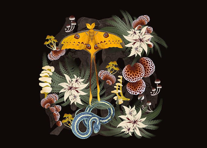 Secrets of The Dark Forest
