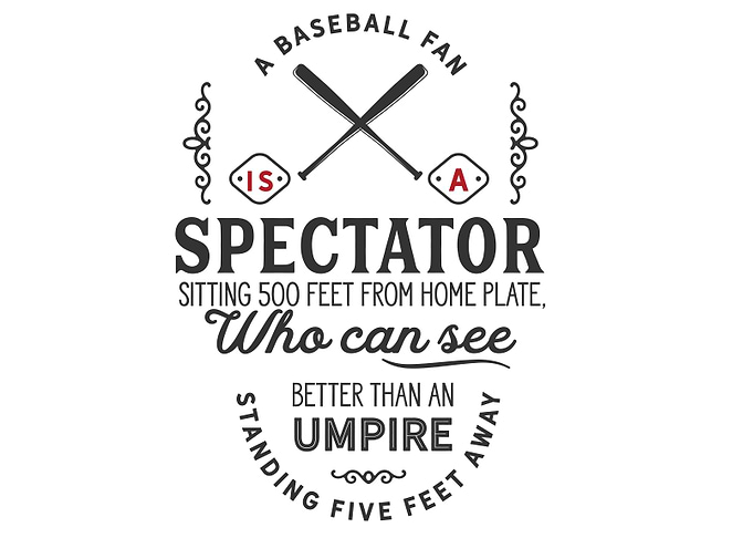 A baseball fan