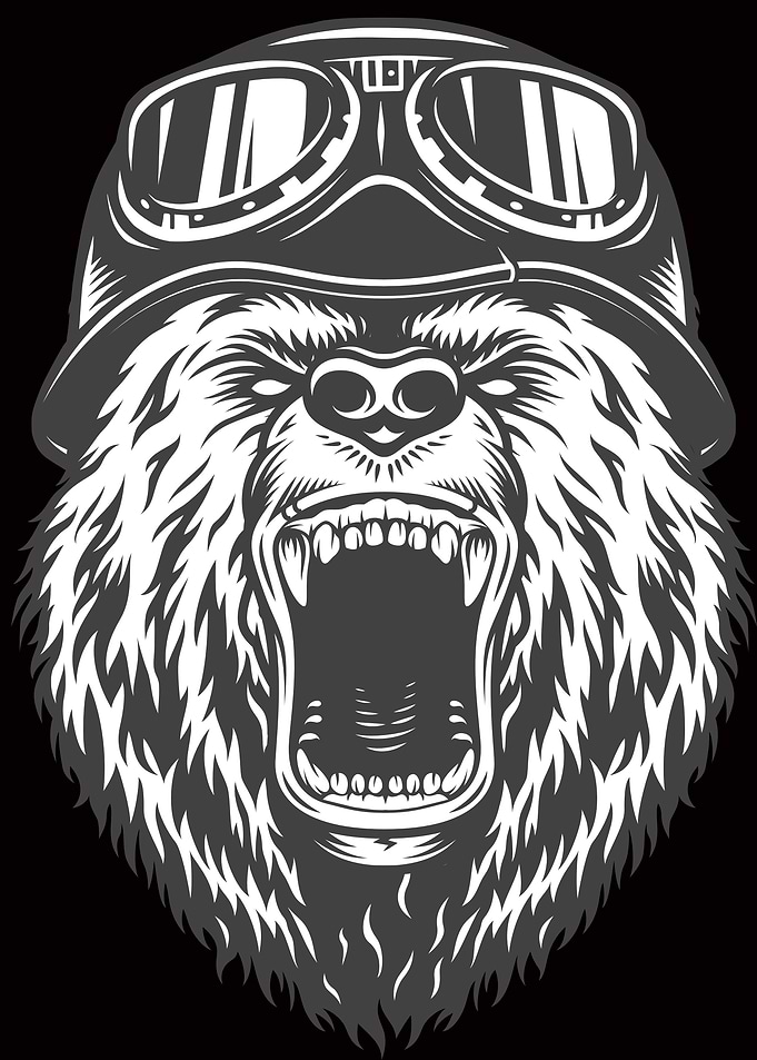 bear bears costume gang