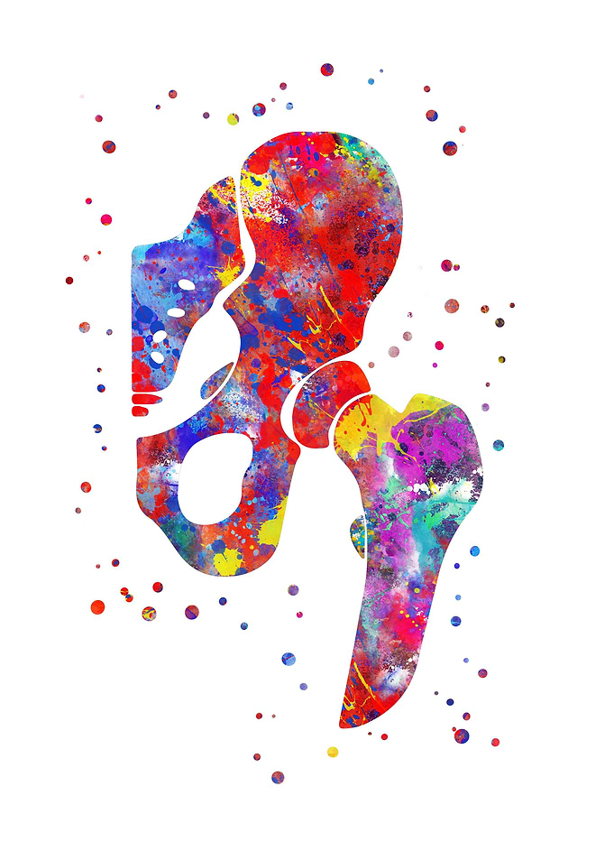 Hip joint