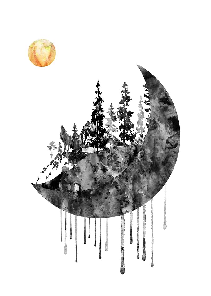 Pines and moon