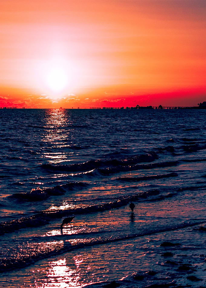 Sunset Photography Florida