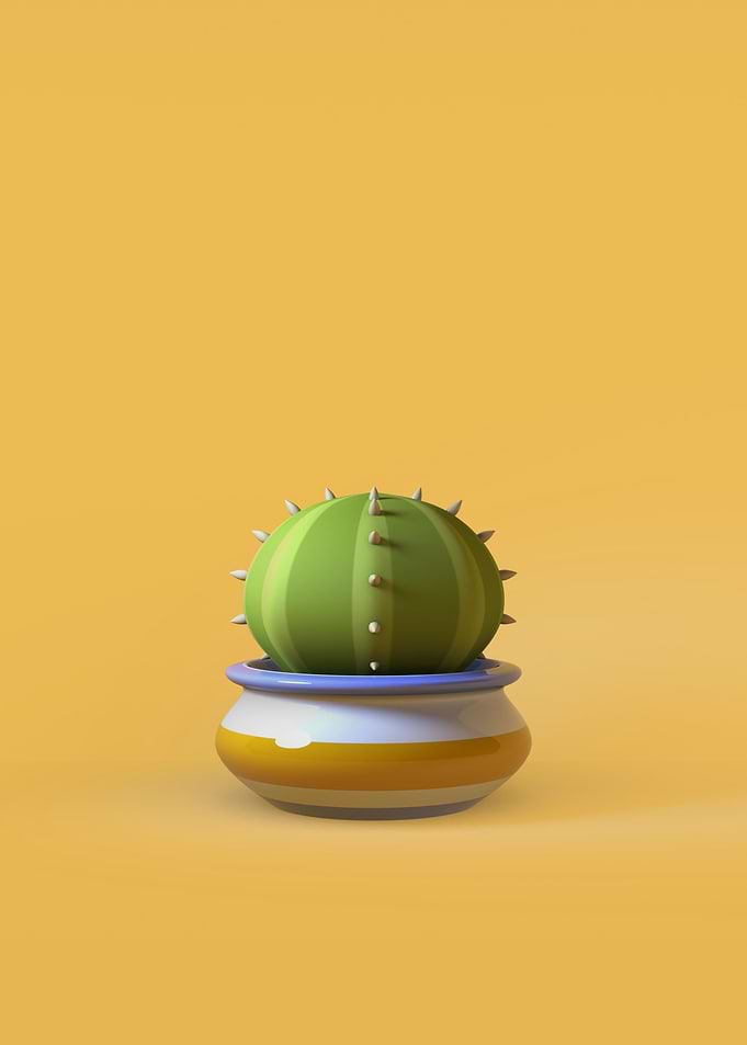 Cactus 1