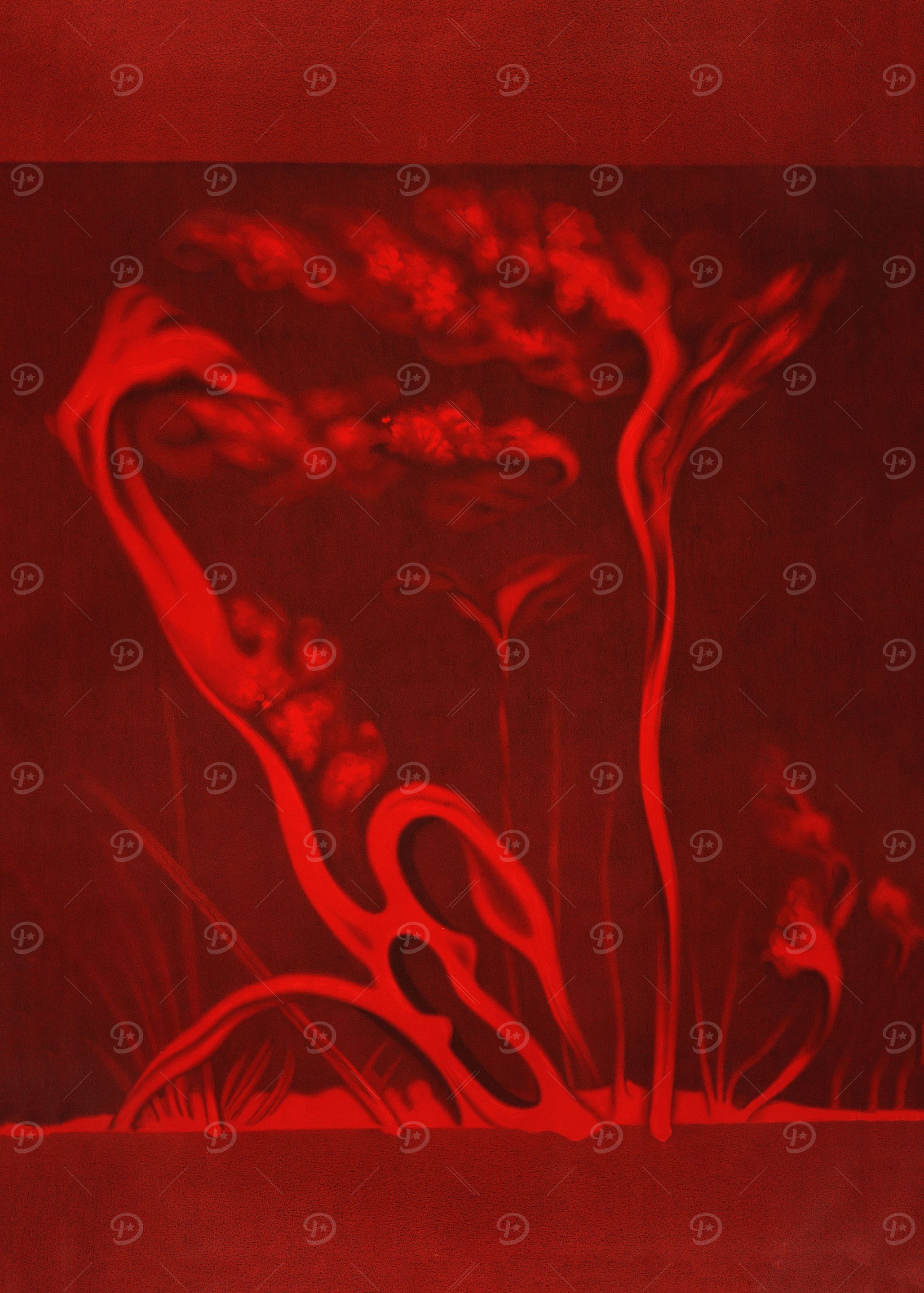 Solar protuberances