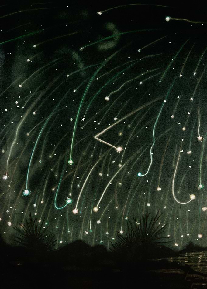 The November meteors