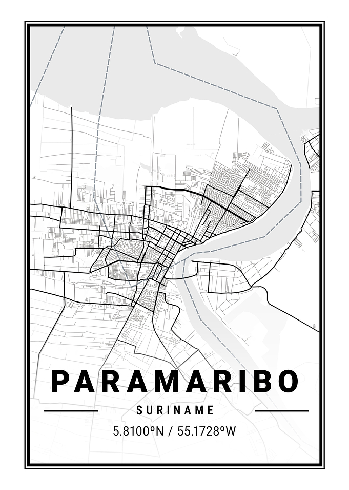 Paramaribo Light City Map