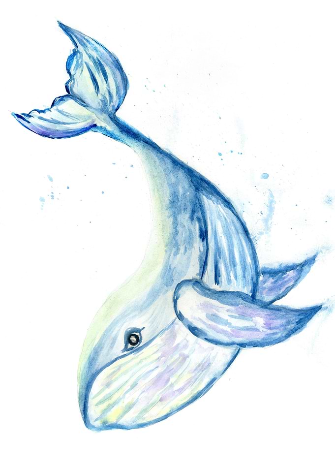 Cute blue whale