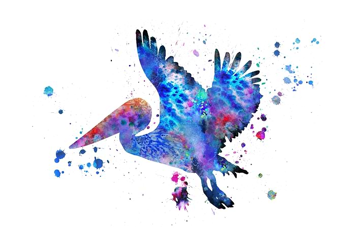 Pelican