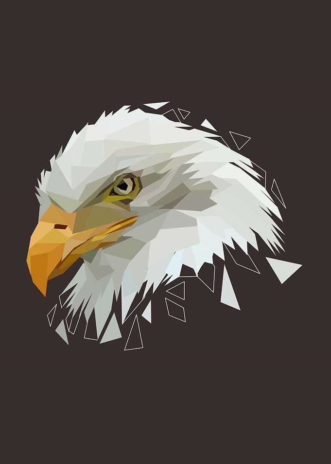 eagle with low poly art