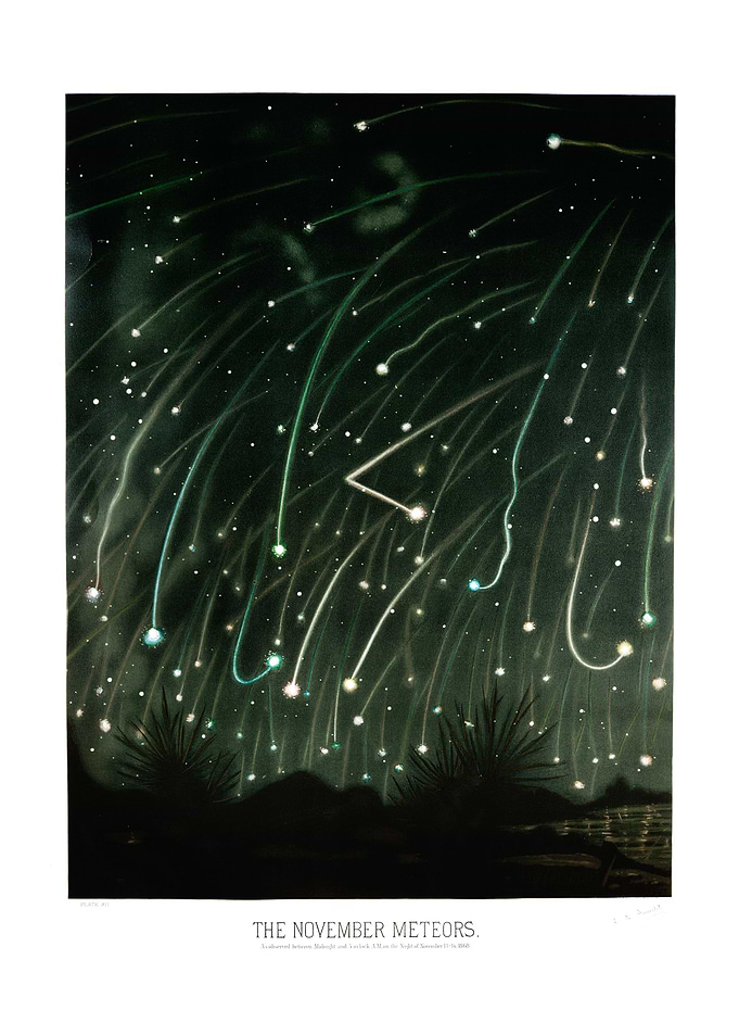 The November meteors