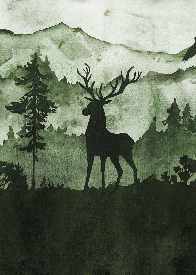 Into Nature Wild Hert