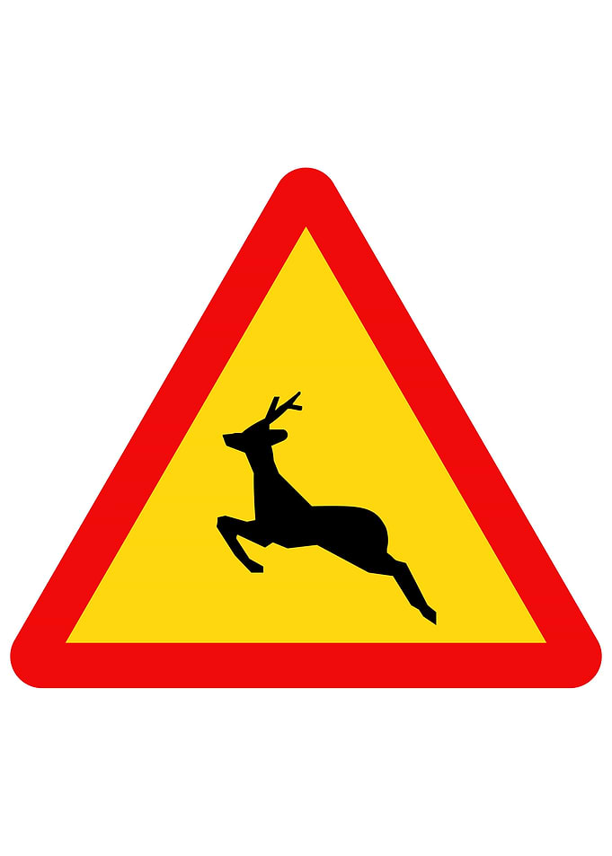 Vietnamese Road Sign