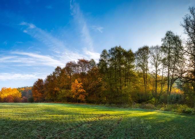 Environment Sky Landscape