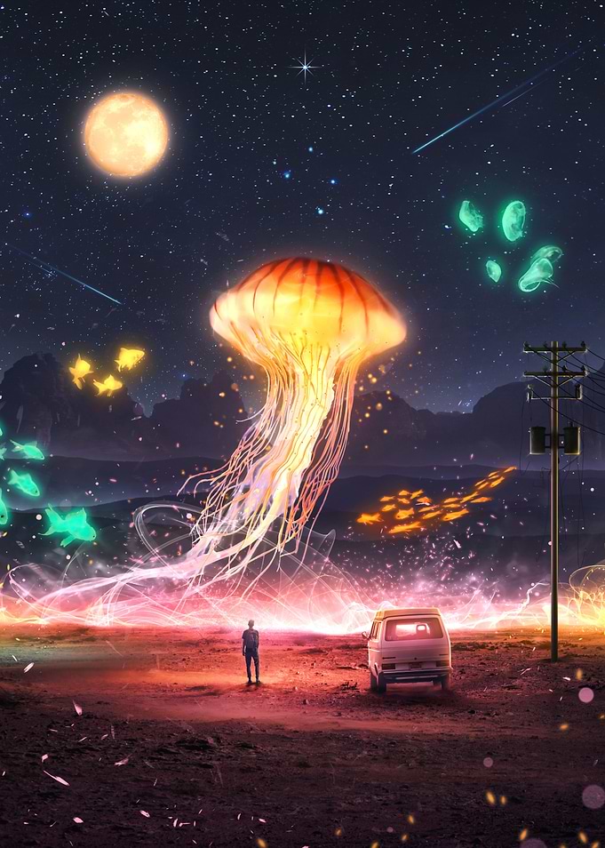 MAGICAL NIGHT