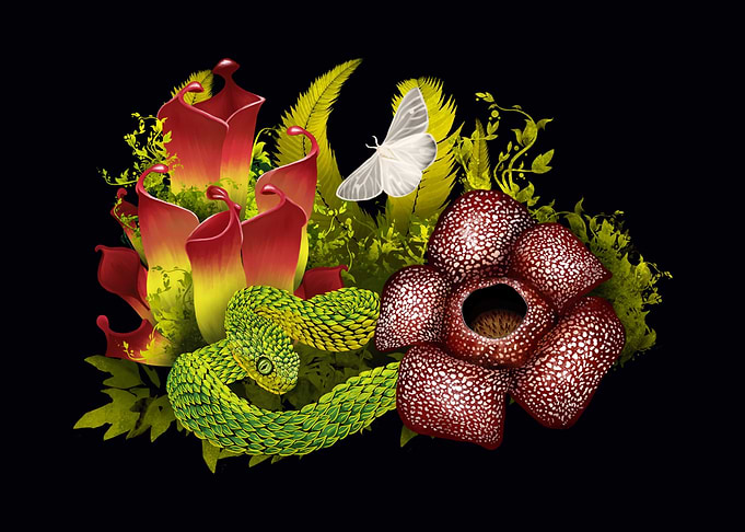 Dark Rainforest