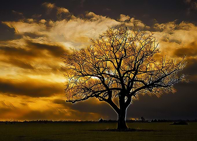 Nature Painting