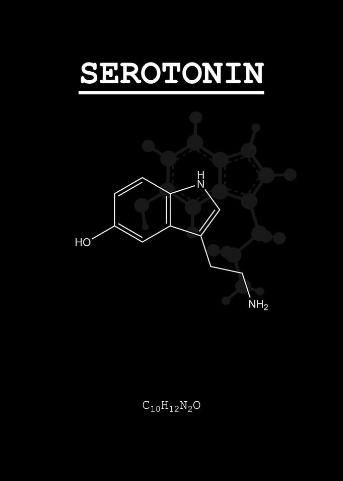 Serotonin