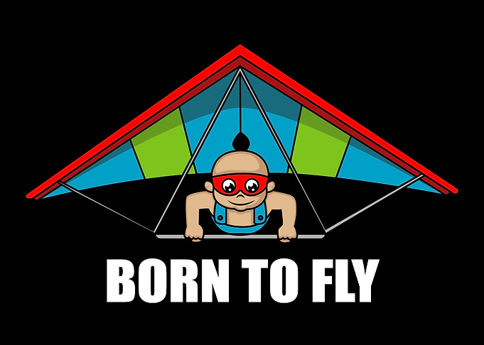 Born To Fly Hang Glider Or