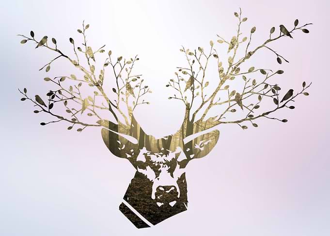 The deer head