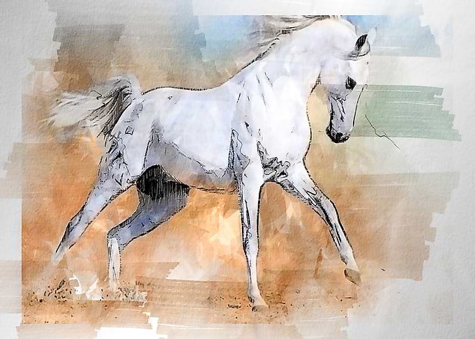 horses watercolor