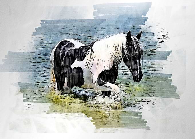 horses watercolor