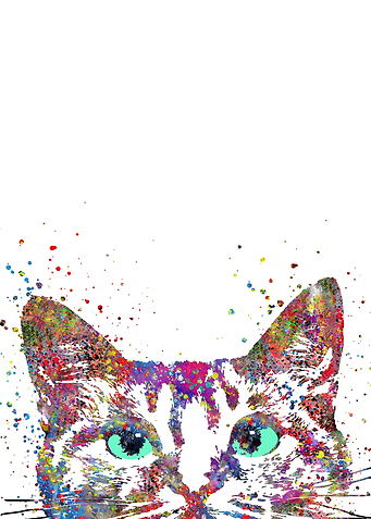 Peeking cat