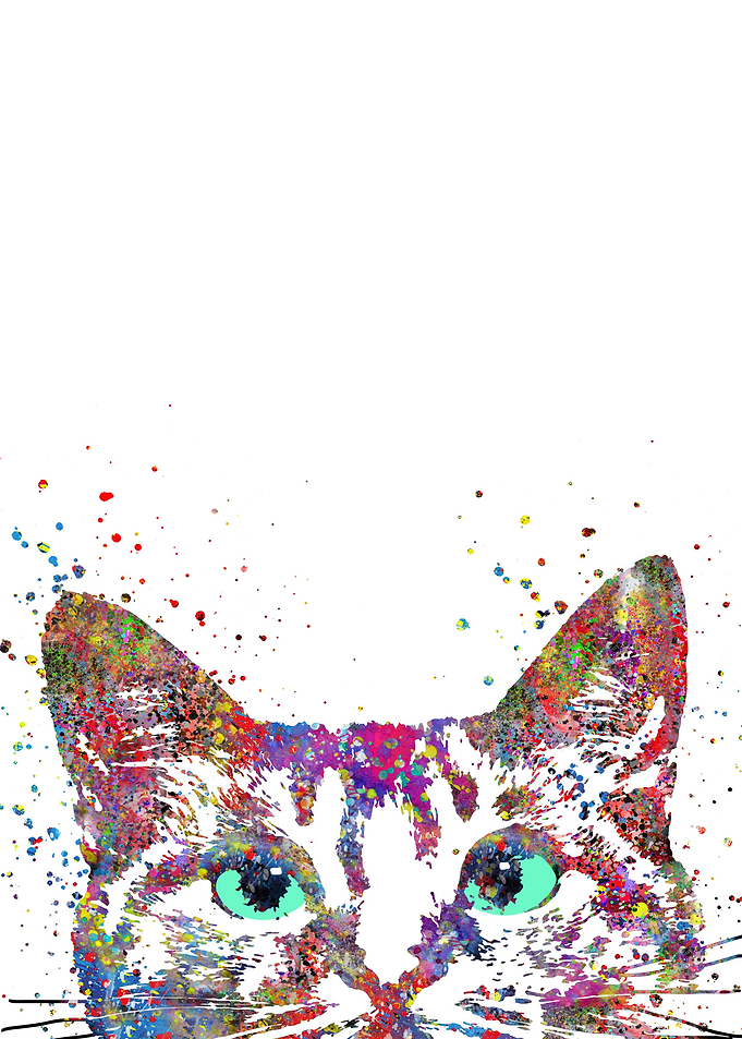 Peeking cat