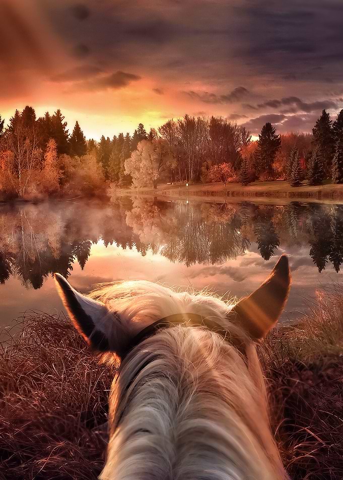 Long Lonesome Ride
