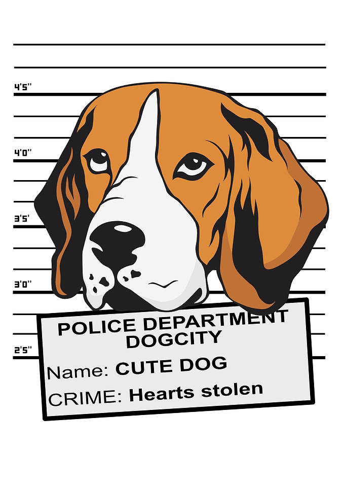 Sweet Beagle Mugshot