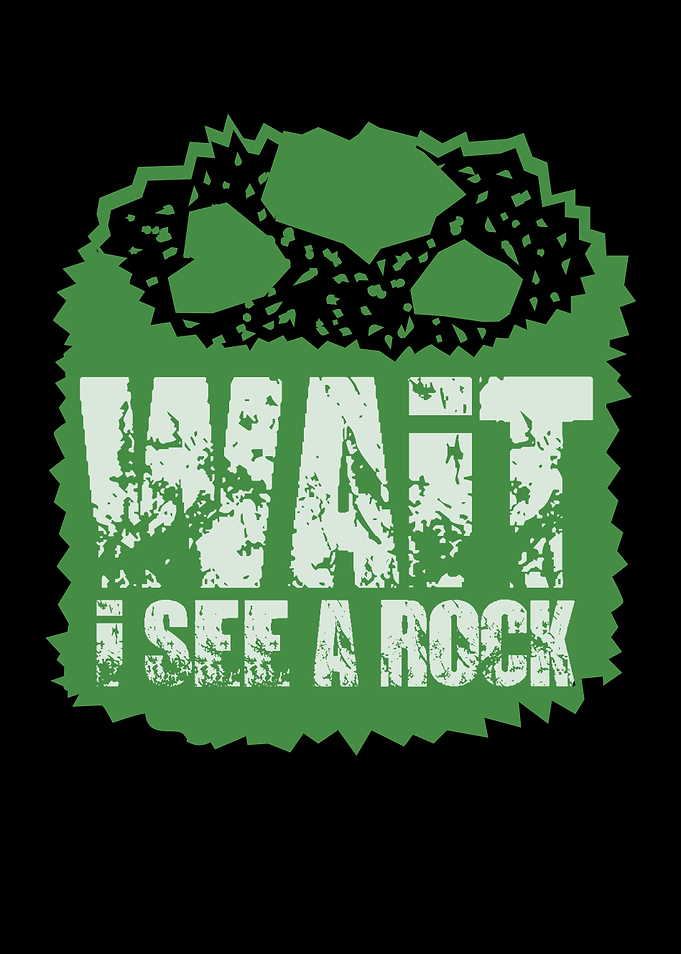 Wait I See A Rock