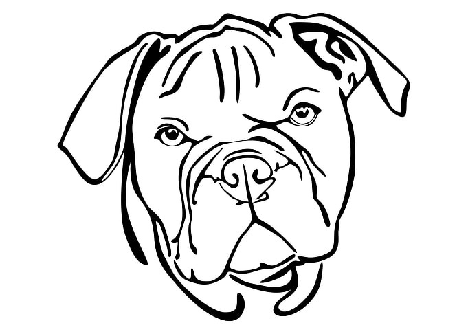 Line Art Bulldog Head