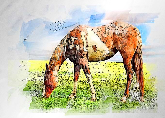 horse watercolor painting