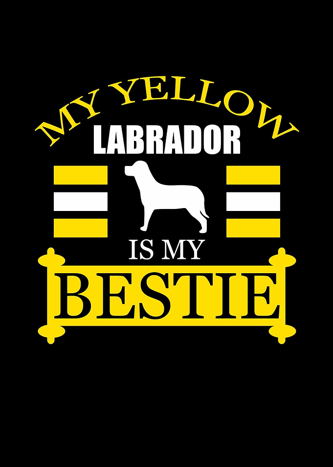 Dog Labrador Pet Animal