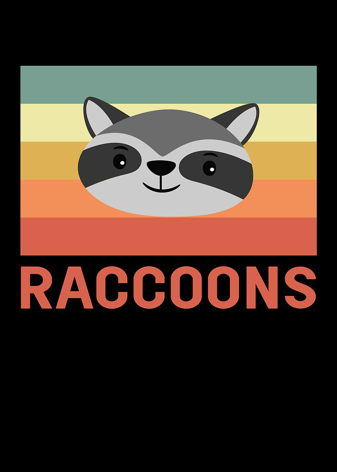Raccoons Raccoon Animal