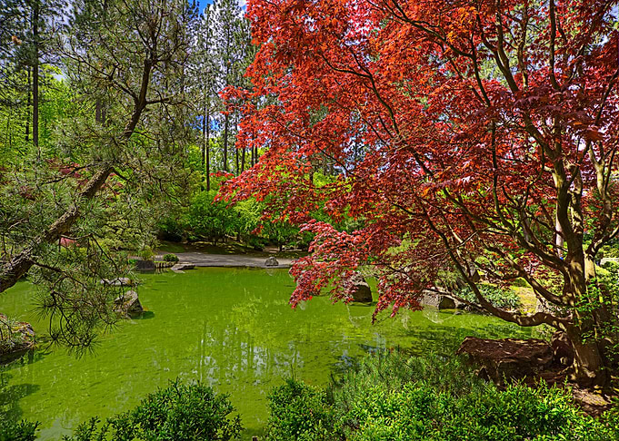 Nature