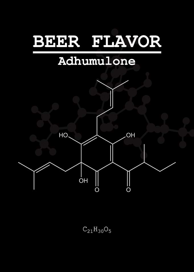 Beer Flavor Adhumulone