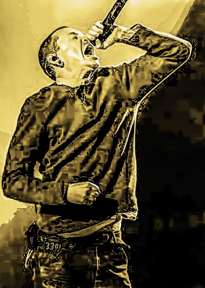 Linkin Park 118
