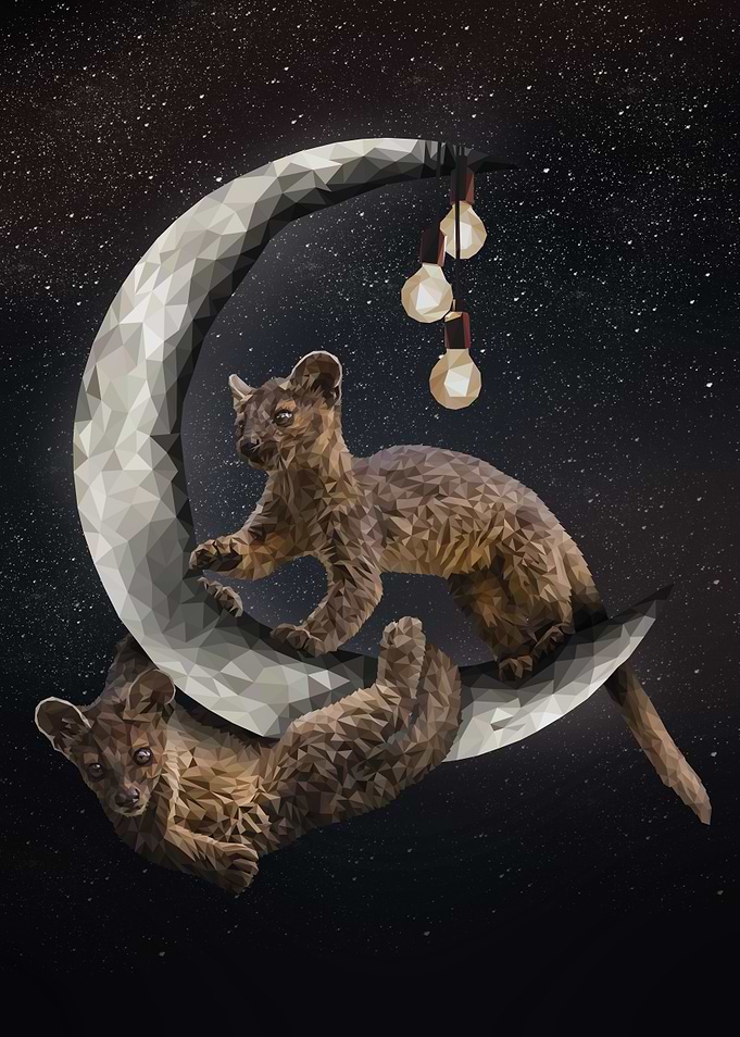 Fossa